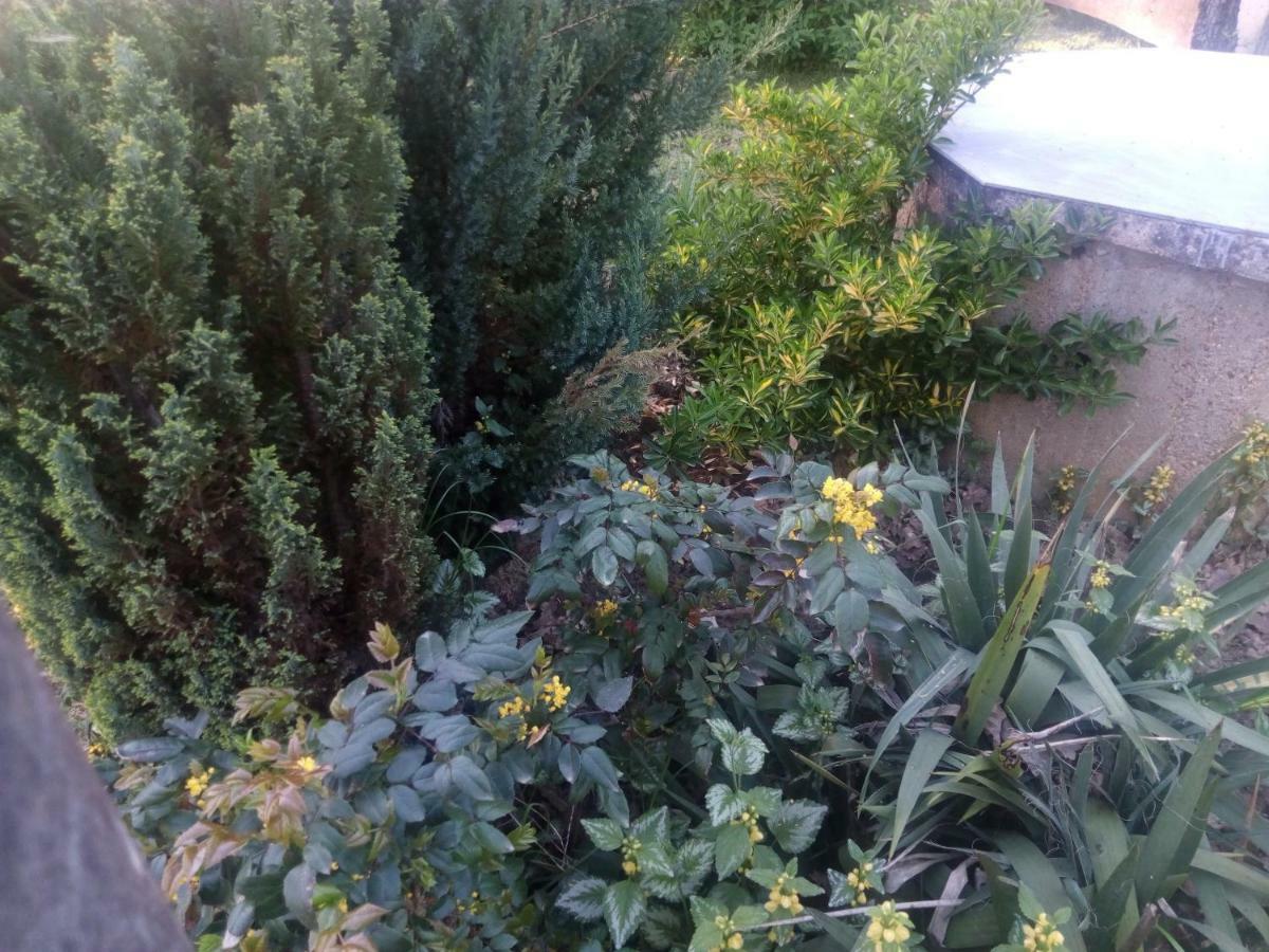 Kuca Za Odmor Mazuran Βίλα Karlovac Εξωτερικό φωτογραφία